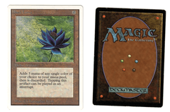 Black Lotus
